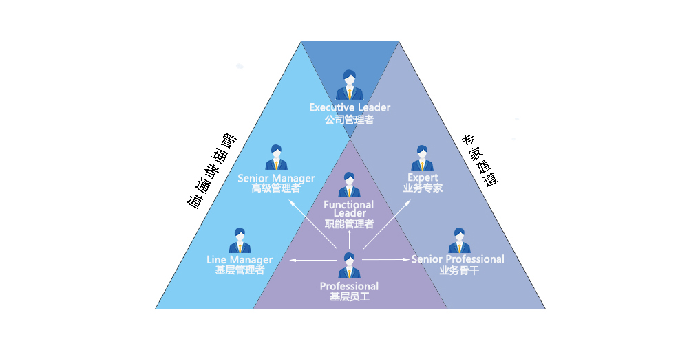 新澳网2024官方网站