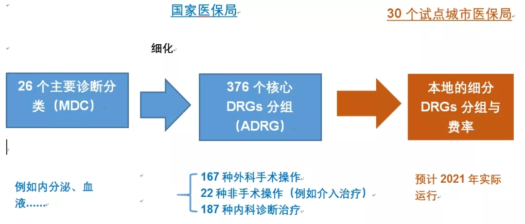 新澳网2024官方网站