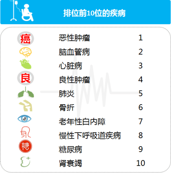 新澳网2024官方网站