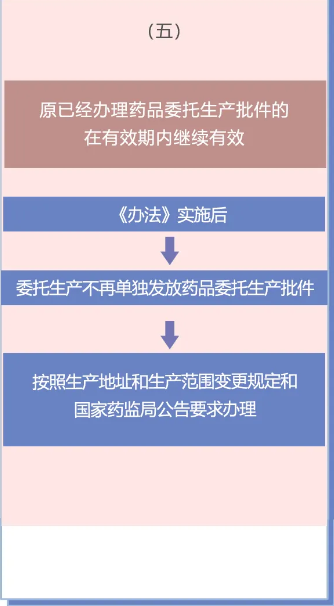 新澳网2024官方网站