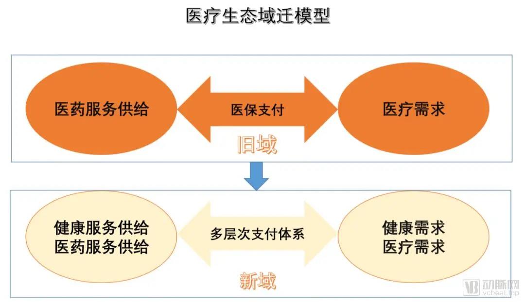 新澳网2024官方网站